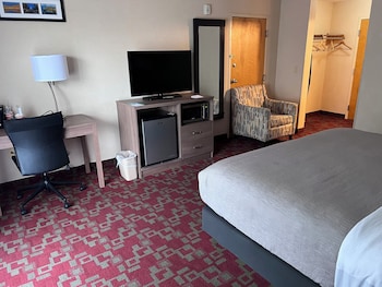 Room, 1 King Bed, Non Smoking, Pet Friendly