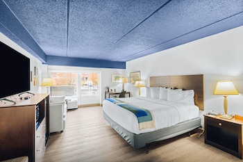 Room, 1 King Bed, Accessible, Non Smoking (Roll-In Shower)