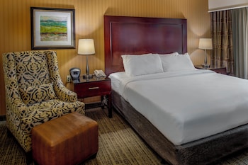 Standard Room, 1 King Bed (Accessible Tub)