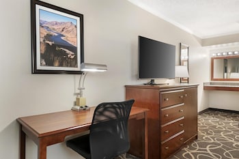 Standard Room, 1 Queen Bed, Accessible, Refrigerator & Microwave (Pet Friendly)