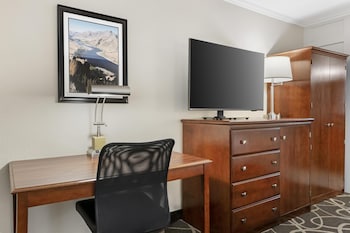 Standard Room, 1 King Bed, Non Smoking, Refrigerator & Microwave (Pet Friendly)