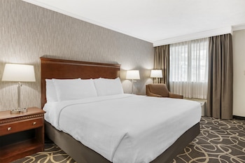 Standard Room, 1 King Bed, Non Smoking, Refrigerator & Microwave (Pet Friendly)
