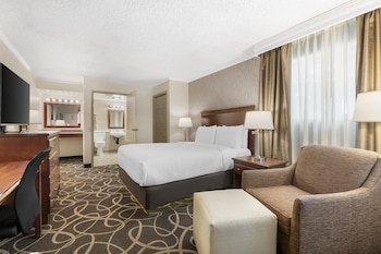 Standard Room, 1 Queen Bed, Accessible, Refrigerator & Microwave (Pet Friendly)