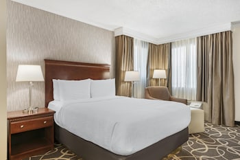 Standard Room, 1 Queen Bed, Accessible, Refrigerator & Microwave (Pet Friendly)