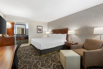 Standard Room, 1 King Bed, Non Smoking, Refrigerator & Microwave (Pet Friendly)