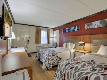 Deluxe Room, 2 Double Beds, Non Smoking