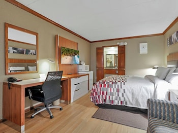 Superior Room, 1 King Bed, Accessible, Non Smoking