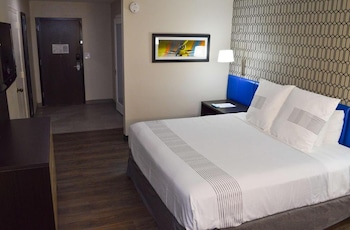 Room, 1 King Bed (Accessible Roll-in Shower)