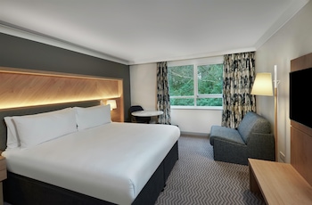Deluxe Room, 1 King Bed with Sofa bed (with 1 Sofa Bed)
