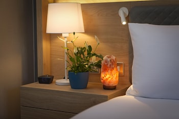 Room, 1 King Bed