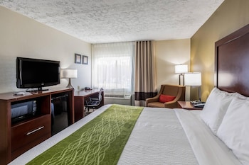 Standard Room, 1 King Bed, Non Smoking