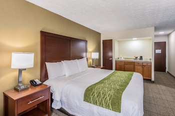 Standard Room, 1 King Bed, Non Smoking
