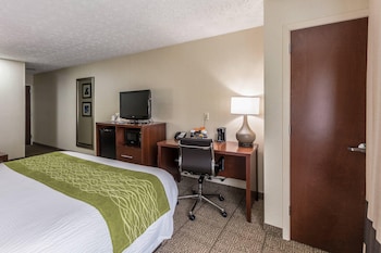 Room, 1 King Bed, Accessible, Non Smoking