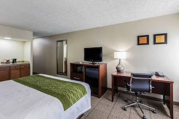Standard Room, 1 King Bed, Non Smoking