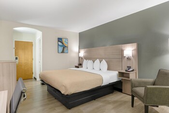 Standard Room, 1 King Bed, Non Smoking