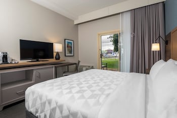 Standard Room, 1 King Bed, Roll-in Shower (Accessible, Pet Friendly)
