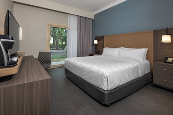 Standard Room, 1 King Bed, Roll-in Shower (Accessible, Pet Friendly)