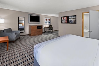 Room, 1 King Bed, Non Smoking, Pool View (Standing Shower)