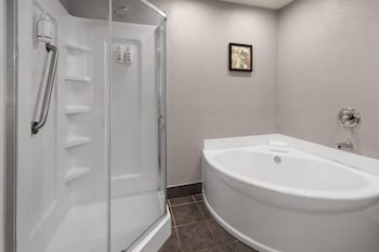 Room, 1 King Bed, Non Smoking, Pool View (Standing Shower)