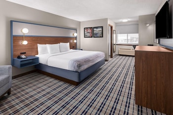 Room, 1 King Bed, Non Smoking, Pool View