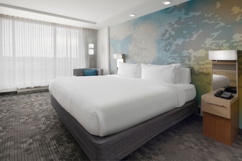 Suite, 1 Bedroom, Roll-in Shower