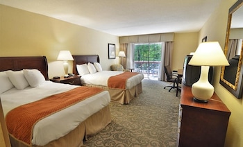 Deluxe Single Room, 2 Double Beds