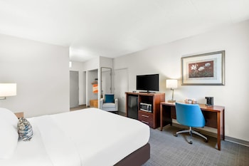 Room, 1 King Bed, Accessible, Non Smoking