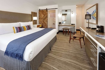 Standard Room, 1 King Bed, Non Smoking (Pet Friendly)