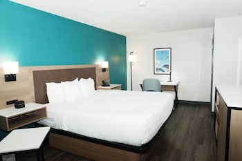 Room, 1 King Bed, Non Smoking