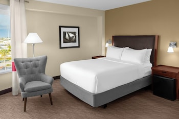 Room, 1 Queen Bed (Mobility/Hearing Accessible, Tub)