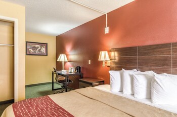 Deluxe Room, 1 King Bed, Accessible, Non Smoking (Roll-In Shower)