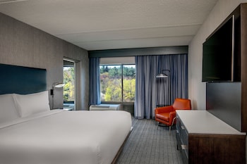 Suite, 1 Bedroom