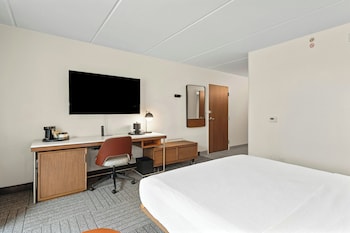 Room, 1 King Bed with Sofa bed, Hearing Accessible
