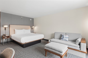 Room, 1 King Bed with Sofa bed