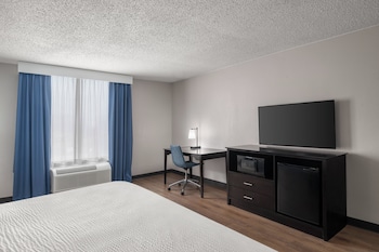 Suite, 1 King Bed