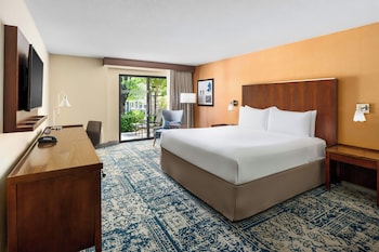 Room, 1 King Bed, Pool View
