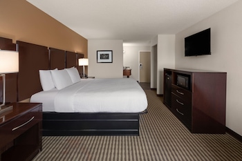 Room, 1 King Bed, Non Smoking