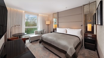 Classic Room, 1 King Bed, Park View