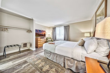 Deluxe Suite, 1 Bedroom