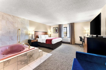 Standard Room, 1 King Bed, Non Smoking, Refrigerator & Microwave (Larger Room;with Sofabed)