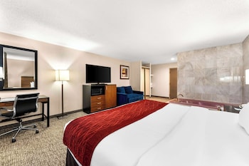 Standard Room, 1 King Bed, Non Smoking, Refrigerator & Microwave (Larger Room;with Sofabed)