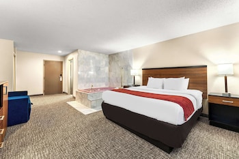 Standard Room, 1 King Bed, Non Smoking, Refrigerator & Microwave (Larger Room;with Sofabed)