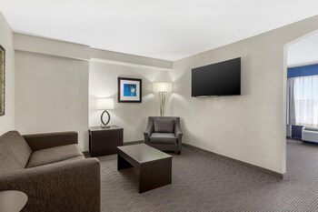 One Bedroom Suite, 1 King Bed, Non Smoking, Refrigerator & Microwave (with Sofabed)