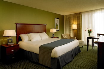 Luxury Room, 1 King Bed
