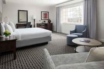 Room, 1 King Bed