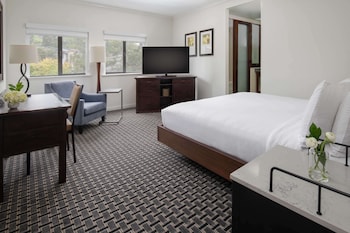 Room, 1 King Bed