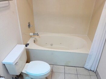 Executive Studio Suite