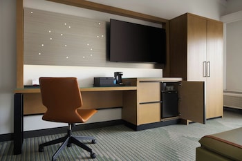 Room, 1 King Bed with Sofa bed