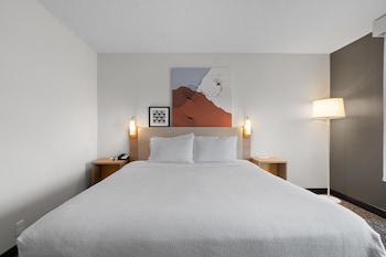 Room, 1 King Bed
