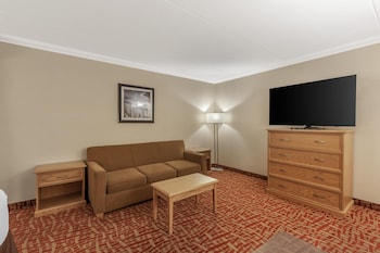 Business Room, 1 King Bed, Non Smoking, Jetted Tub (with Sofabed)